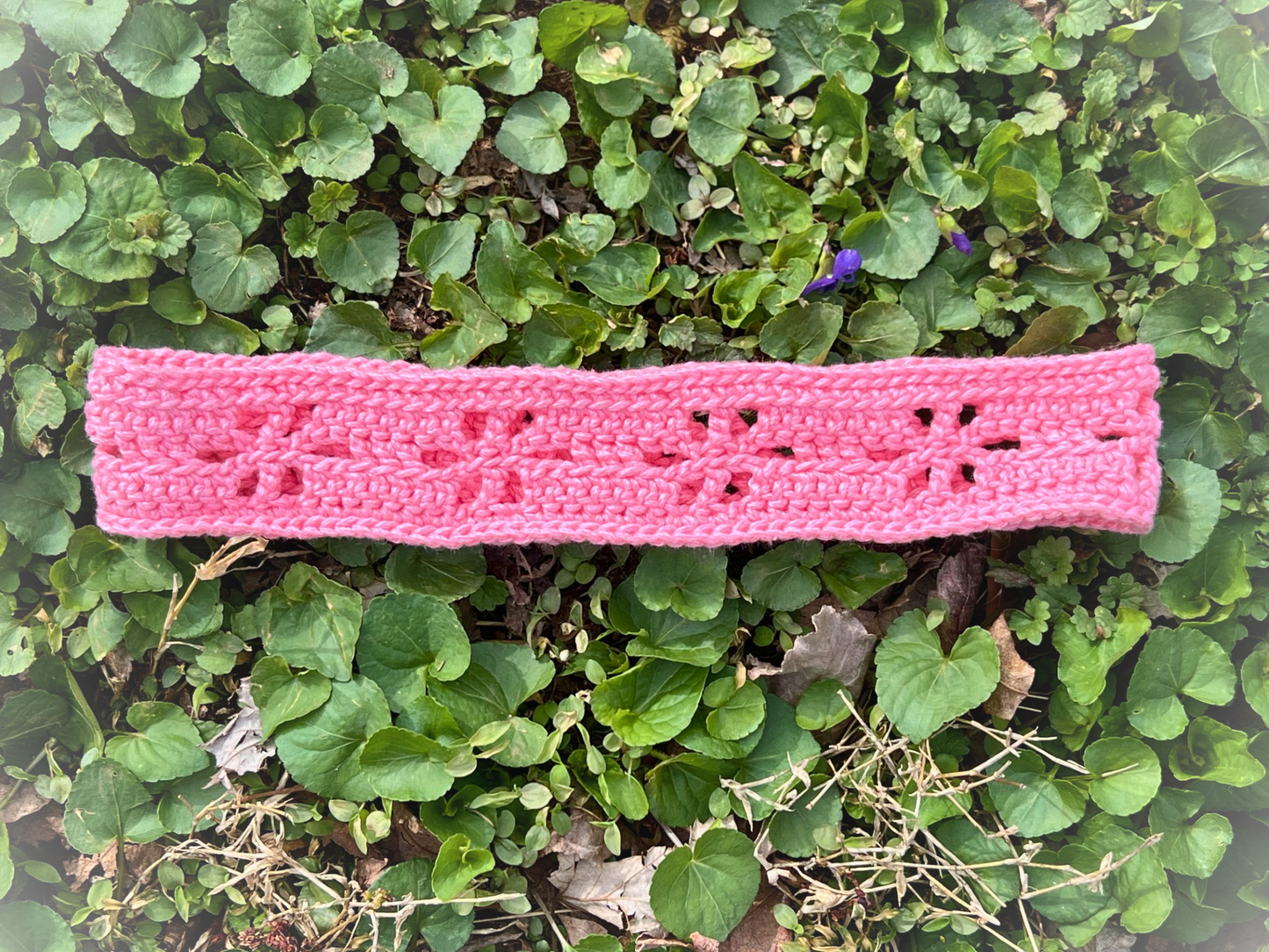 Farmer's Market Headband Topped Off Cosmo