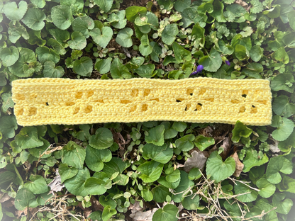 Farmer's Market Headband Social Drinking Butterfly